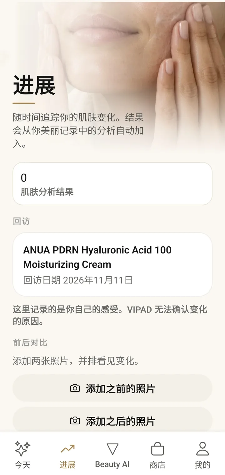 VIPAD 的进展页面